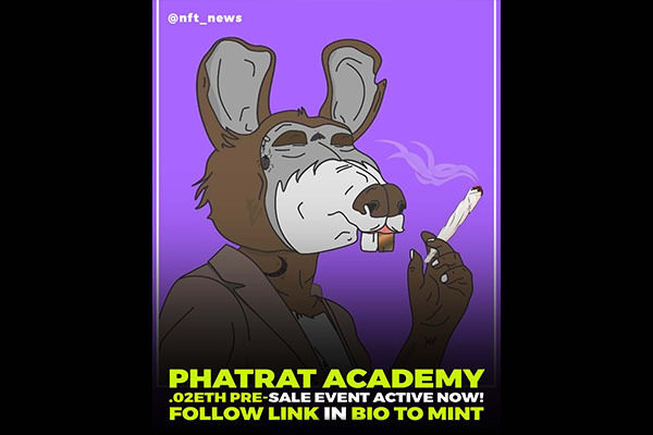 PhatRat Academy