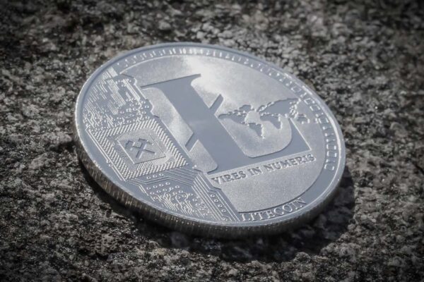 Dev forks Bitcoin Ordinals protocols to mint the first Litecoin NFT