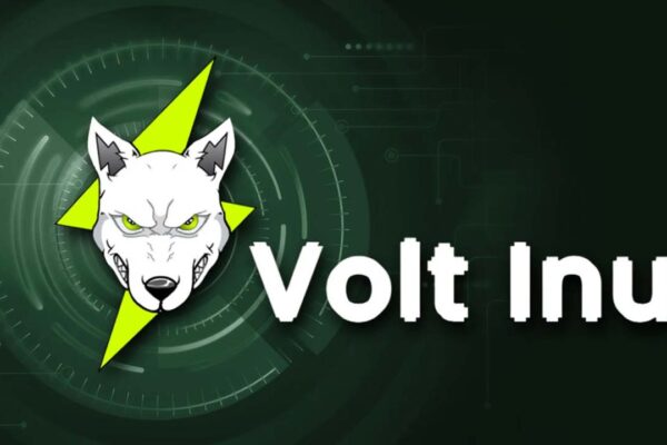 Volt Inu unveils alpha version of NFT-powered battle royale game