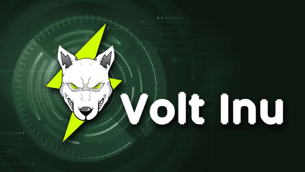 Volt Inu unveils alpha version of NFT-powered battle royale game