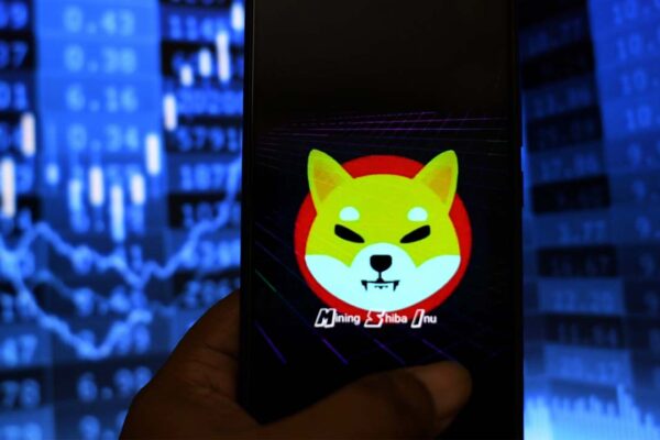 Shiba Inu devs give the crypto community a glimpse of the incoming SHIB metaverse